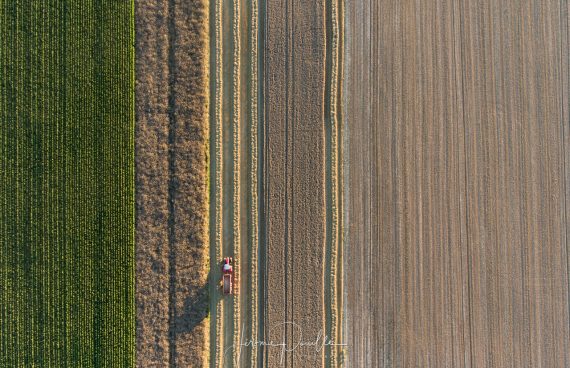 Moisson 2016